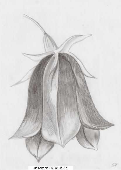 True Love - asta e un trandafir desenat de mn, va place? sper - Desene